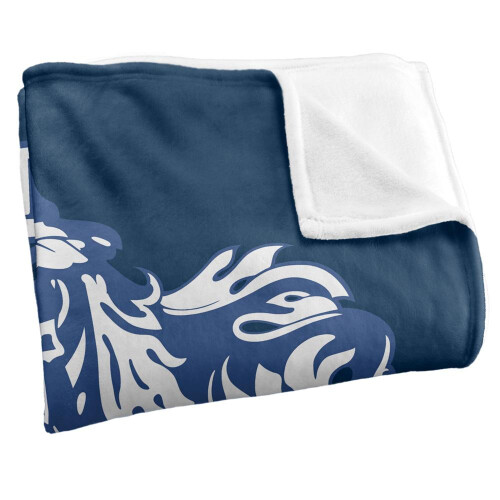 Harry Potter Harry Potter Ravenclaw Crest Blanket 2