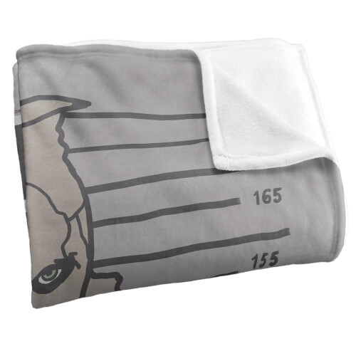 Batman Batman Line Up Scarecrow Blanket 1