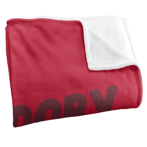 Scooby Doo Scooby Doo Scooby Snack Time Blanket 1