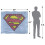 Superman Superman Hand Drawn Logo Blanket 5