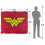 DC Comics DC Comics Logo Wonder Woman Blanket 5