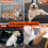 Pet Haven, Μη Ηλεκτρικό Θερμαντικό Υπόστρωμα για Απόλυτη Άνεση, Οικολογικό, 4