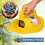 Berry Picker For Multiple Berries, Protective Design Durable Comfortable Handle Blueberry Picker, Ergonomic Grip And Time Saving Effort Saving Fruit 4