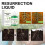Plant Fertilizers Fast Rooting Nutrient Rooting Stimulators 4