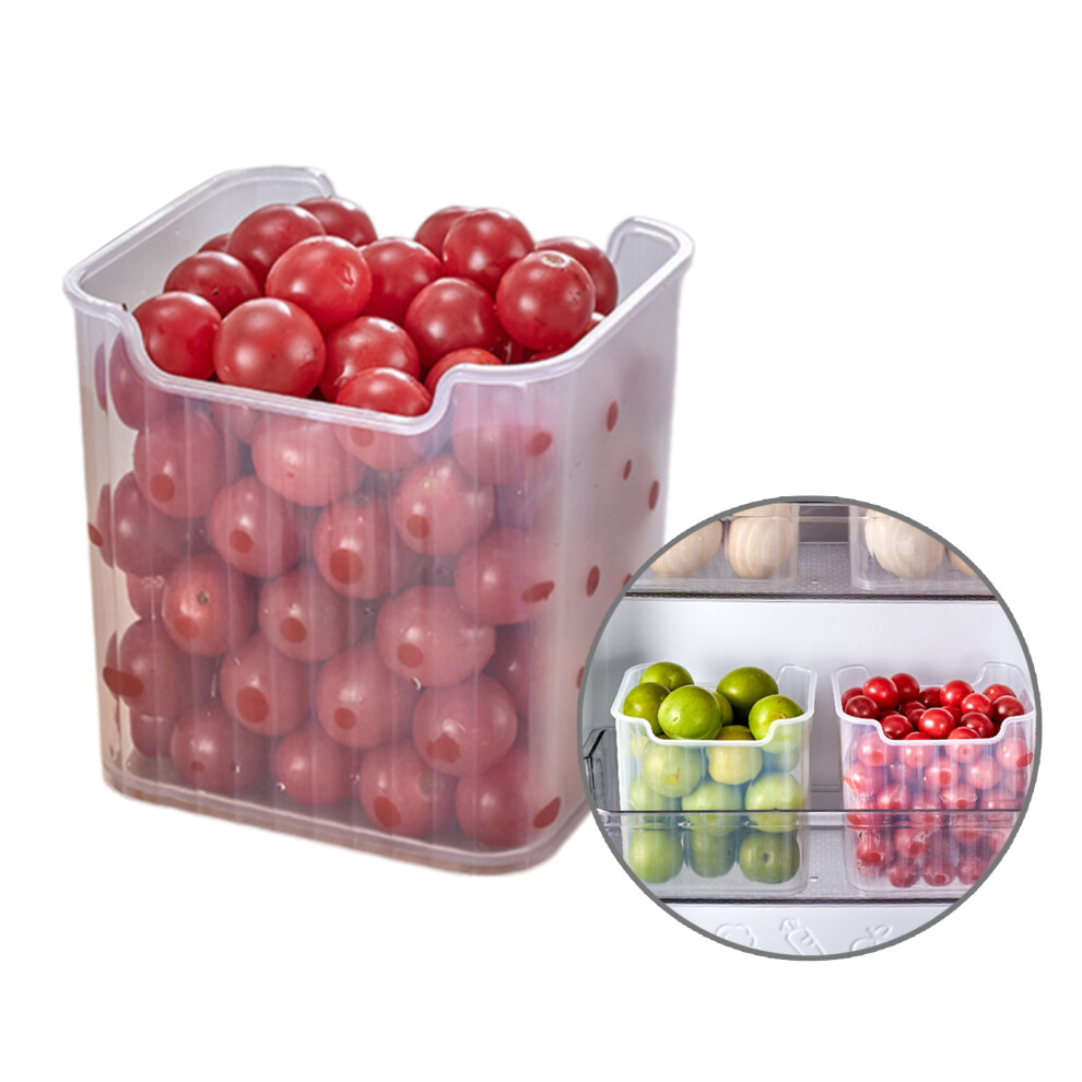 Efficient Refrigerator Storage Solution Efficient Storage