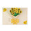Greetings Card with Envelope 3D Colorful-Three dimensional su 1
