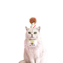 Eye Catching Pet Dogs Birthday Hat Fashion Pet Bandanas-S