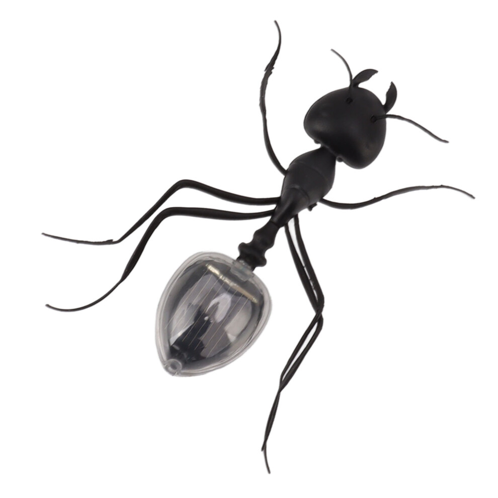 Solar Power Ants Insect Toy Educational Abs Kids Prank Toy Outdoor Garden Play 7621371268290