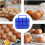 Egg Container Camping with Built-In Handle, Multi-Purpose Durable Plastic Construction for Safe Transportation of 12 Eggs, Blue 6