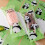 100Pcs Clear Ice Cream Storage Bag Popsicles-white english 6
