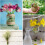 Gardener's Haven, 50 μέτρα ευρέως διαδεδομένο για χειροτεχνίες, βοηθός κήπου που 5