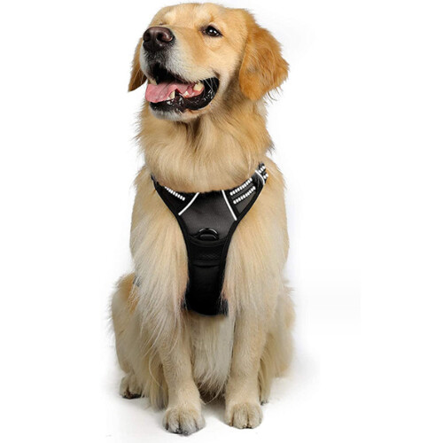 Fido Companion Βαρέως Τύπου Ζώνη Σκύλου χωρίς Τραβήγματα, Ανακλαστικό Γιλέκο με Κλιπ 1