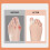 Hallux-Valgus-Gürtel Elastisch Hautfarbe L 40-45 3