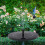 Versatile 7V 1.5W Solar Pump with Multiple Nozzles for Fish Tanks 6