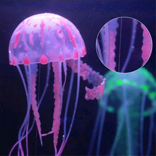 QISIWOLE Acquario con Meduse Artificiali Fluorescenti e Luminose - Offerte imperdibili 2