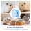 Τροχός Eease Silent Hamster για Άσκηση και Παιχνίδι Κατοικίδιων - Γερβίλοι, Ποντίκια, 5