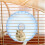 Τροχός Eease Silent Hamster για Άσκηση και Παιχνίδι Κατοικίδιων - Γερβίλοι, Ποντίκια, 7