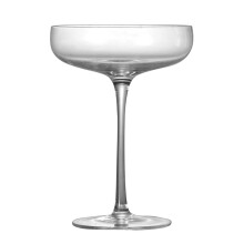 Guangmc Crystal Cocktail Stem Glasses for Champagne Mixing
