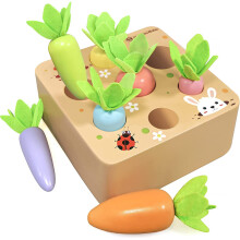 Brinquedos Montessori para crianças de 1 a 3 anos, brinquedos educativos de madeira para aprendizagem por correspondência, jogo de classificação