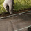 Secure Weed Barrier Fixing, Galvanized Landscape Staples For Unmatched Outdoor Flexibility 5