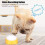 4 Pack Multicolor Voice Recording Buttons for Pet Communication, ABS Durable Materials 10