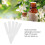 Compact and Reliable 100 Pcs Perfume Strips Ideal for Aromatherapy Use 10