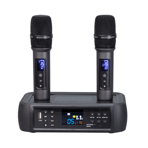 Drahtloses Mikrofon-Set mit DSP-Anti-Heul-Technologie Black