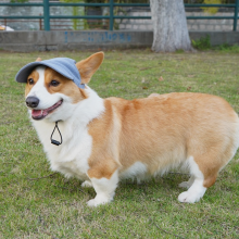 Pet Sunshade Hat, Soft Cotton Wide Brim Design For Sensitive Skin Friendly Cats, Adjustable Drawstring Ensures Perfect Fit And Won'T Be Blown Away By