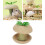 Φιλική Σχέση, Διακοπή της Πλήξης, Βρώσιμες Λιχουδιές Timothy Hay για Διέγερση και 5