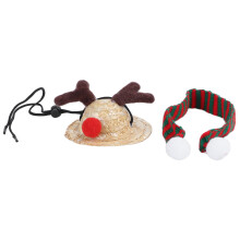 Collezione di abiti natalizi per rettili, sciarpa e cappello festivi per divertimento natalizio, accessorio per costume da rettile con design in