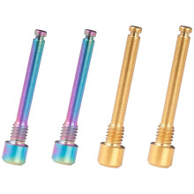 4 Pcs M4 Titanium Bolts for Bicycle Disc Brake Pad Threaded Pin Inserts Screw, 2 Pcs Dazzle Color & 2 Pcs Golden