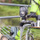 2X Dynamo Bike Light Front Light Set Input AC 6V 3W Dynamo Bicycle LED Headlight Bike Accessories 4