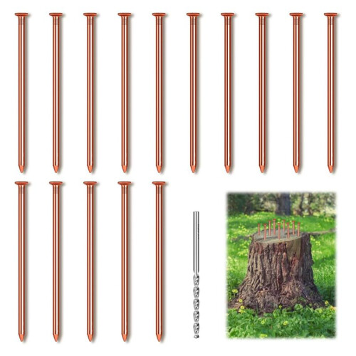 30 Unidades de Pregos de Cobre para Matar Raízes de Coto de Árvores, Pregos de Cobre Puro de 3,14 Polegadas de Comprimento com Broca, Pontas de 1