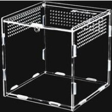 Terrario per rettili, mini box di riproduzione in acrilico trasparente con fori di ventilazione per recinto arboricolo, esperienza di visualizzazione
