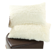 Machine Washable Decorative Throw Pillow Covers, Cozy Soft Lumbar Cushion Cases with Hidden Zipper Closure, Polyester Shaggy Microfiber for Elegant