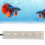 Brightness Adjustable LED Aquarium Light Underwater Light, IP68 Waterproof Submersible Crystal Glass Lights With Remote Control Memory Function Low 4