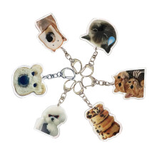 6-delige set kat hanger sleutelhanger toast hond sleutelhangers