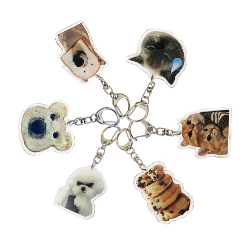Ensemble de 6 pièces de porte-clés en acrylique, Collection