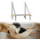 Cat Hammock Sleeping Bed Easy Install Window Perch Gray Sturdy Basket Cat Shelves 4