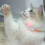 Interactive Indoor Pet Collar For Cats  Pink, USB Rechargeable LED Light, Adjustable, Smart Cat Collar 3