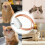 Interactive Indoor Pet Collar For Cats  Pink, USB Rechargeable LED Light, Adjustable, Smart Cat Collar 4