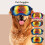 Windproof UV Blue Dog Sunglasses with Adjustable Strap, PC TPU Frame 6