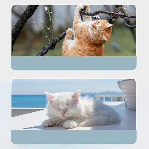 Cat Window Perch Suction Cup Window Hammock For Window Seat Indoor Cat Bed ShockProof Window Sill Perch 1