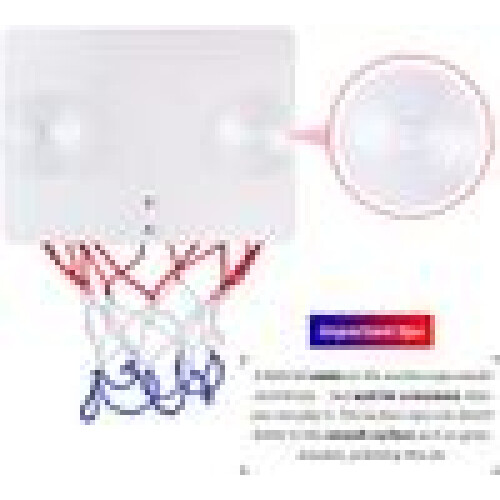 Φορητό παιχνίδι Slam Dunk, εσωτερικός εξαιρετικός διακοσμητικός εύκολος σκορ 2