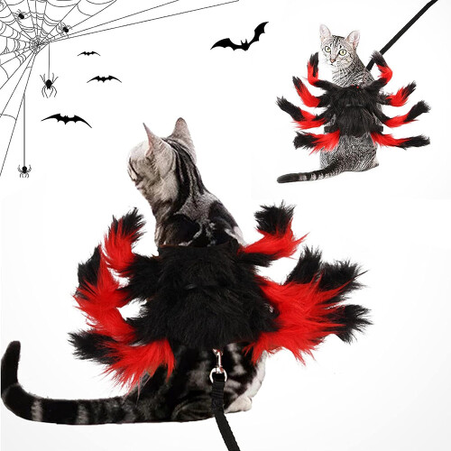 Στολή γάτας-λιονταριού για Halloween Cosplay κατοικίδιων ζώων, άνετα υλικά, καπέλο 2