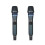 Professionelles drahtloses Mikrofonsystem mit Anti-Feedback 3