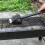 Three in One BBQ Brush Grill Maintenance Tool Ergonomic Handle Durable Materials 3