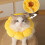 Sunflower Pet Collar Cat Collar Pattern LickingProof BitingProof ScratchingProof Protective Collar Size L 3