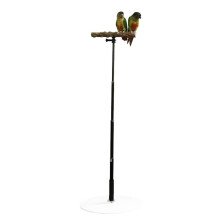 Bird Play Stand Parrot Desk Stand Adjustable Pet Bird Training Stand Retractable Wooden Pole For Parrots Budgies Toys