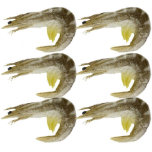 Ensemble de 6 crevettes décoratives en PVC (modèle simulé)